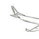 Image for article titled The complete guide to frequent flier miles and credit card points